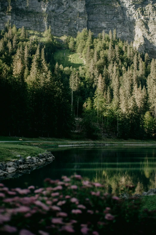 a grassy field next to a small lake with trees