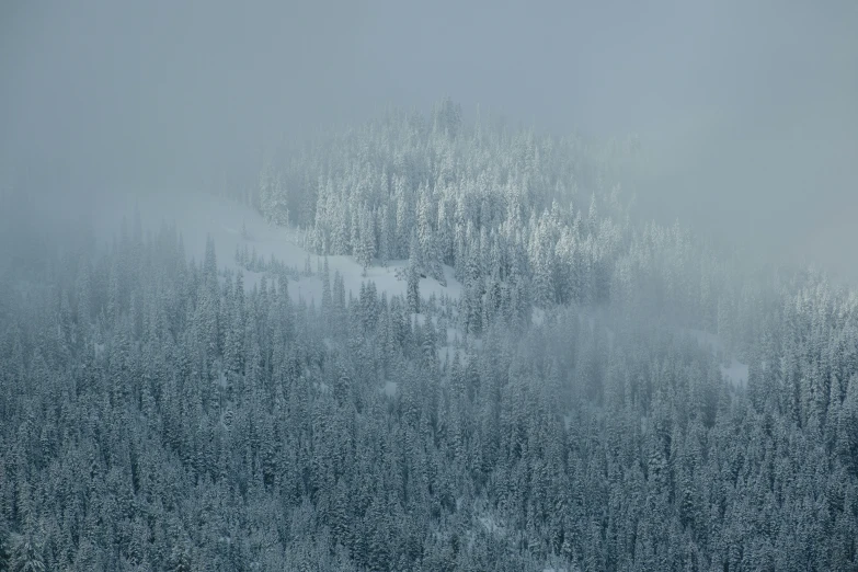 a snowy mountain with trees and fog