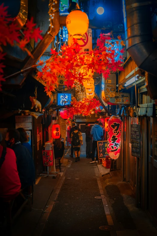 the asian lanterns in the alley are adorned with red leaves