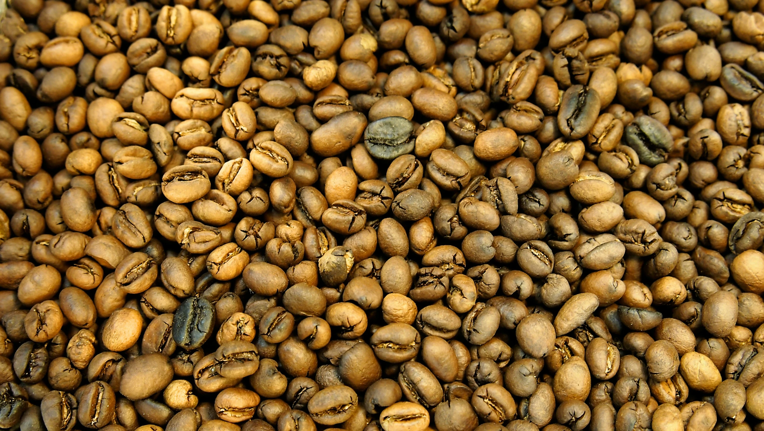 lots of coffee beans that are piled together