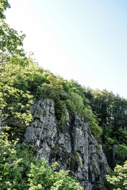 a view from the ground of rocky mountains and trees