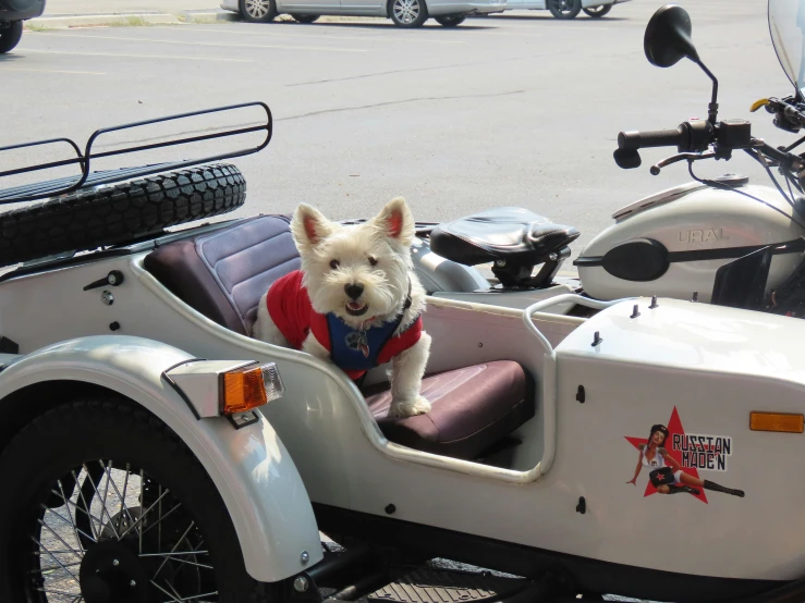 a small white dog sitting in a sidecar of a motorcycle