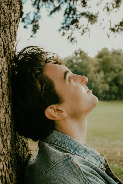 a person looking up at a tree