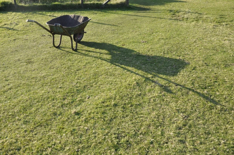 a wheelbarrow on a green lawn with an animal on the grass