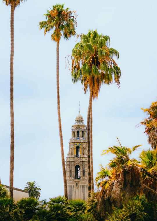 a tower with a clock on top and many palm trees