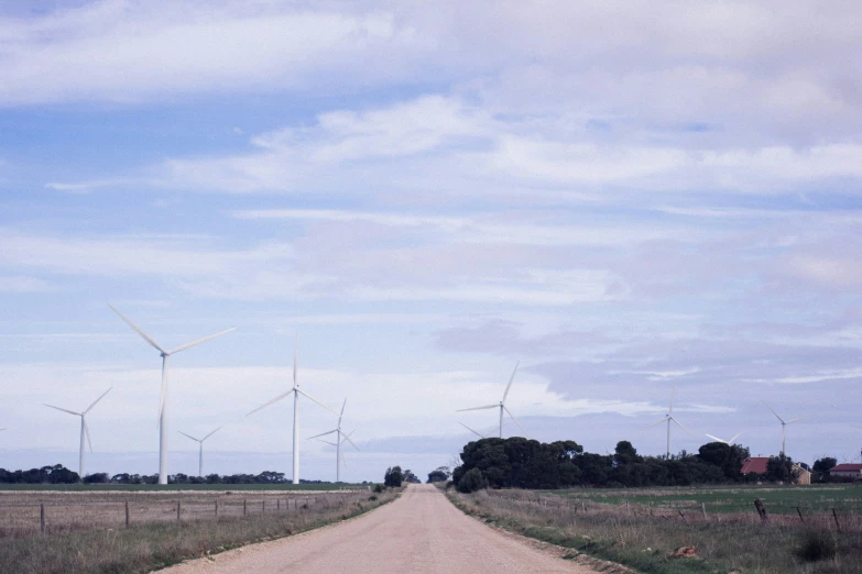 a country road leads to a wind farm