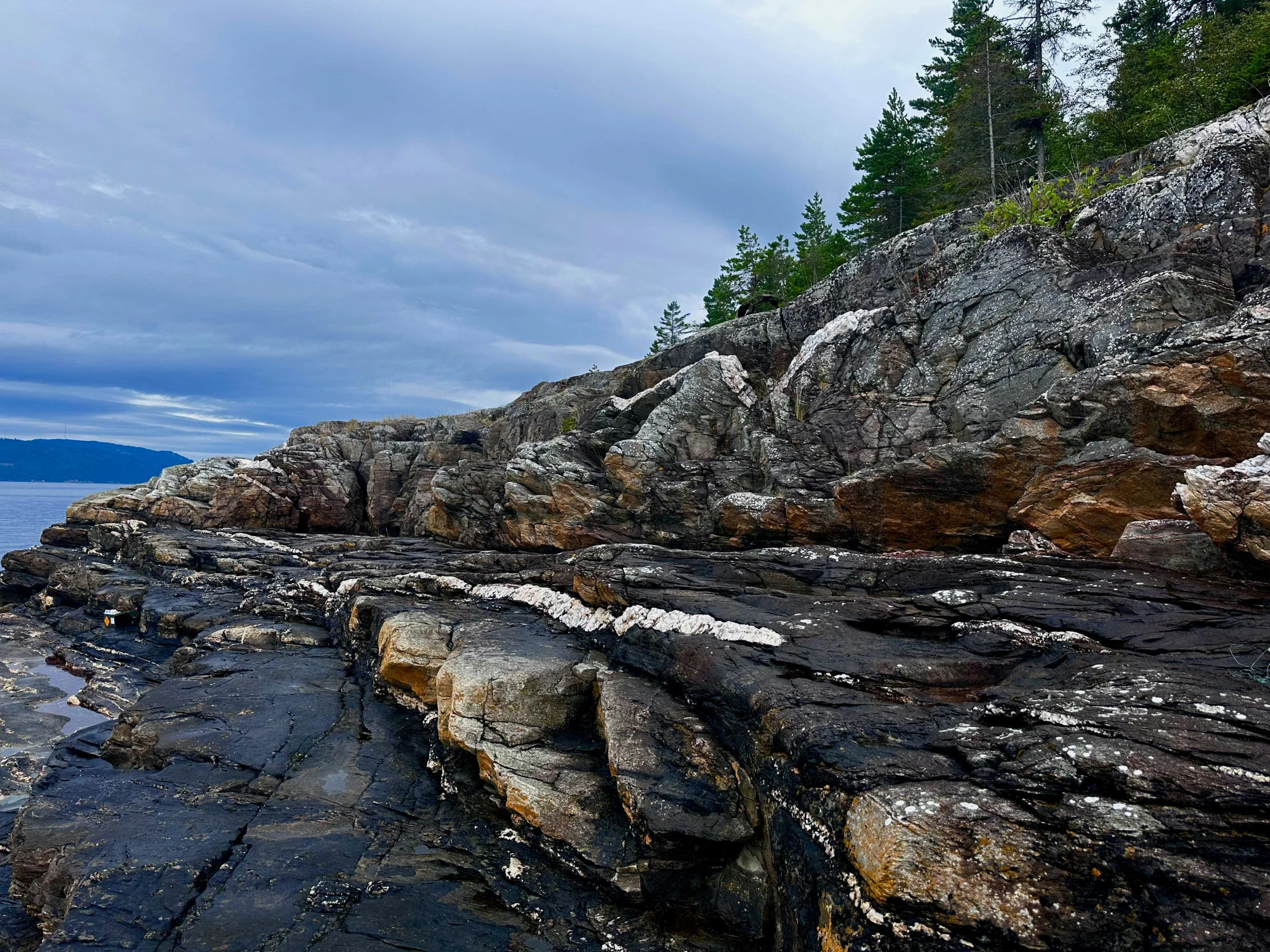 this is an image of rocks on a rocky shore