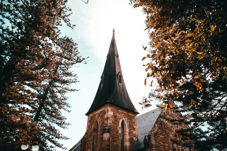 an image of a cathedral in autumn that looks stunning