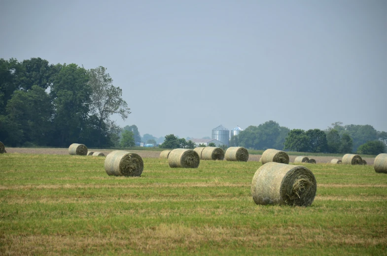 there are many hay bales on the field