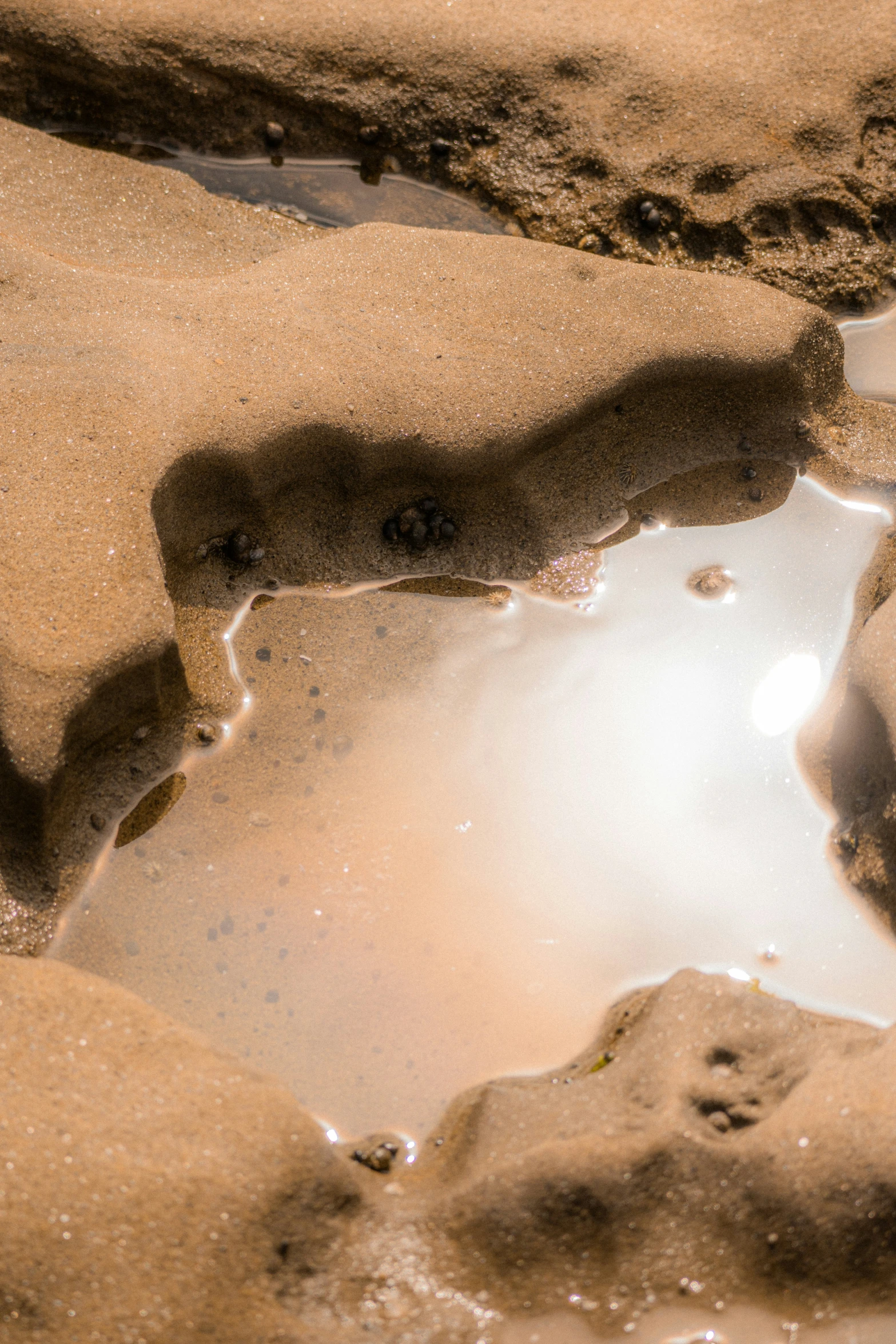 a dirty pond is shown with rocks in it