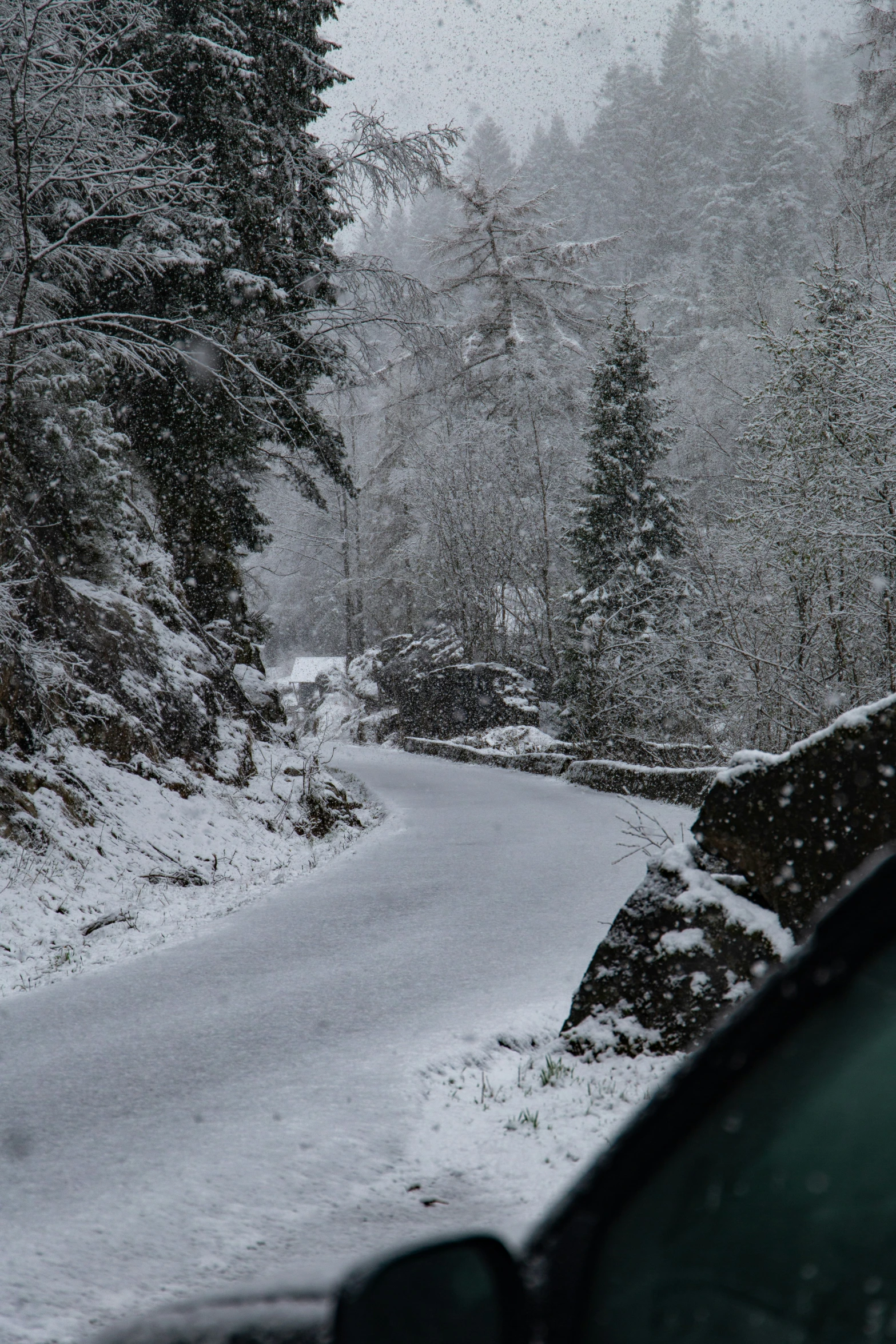 a car on a road in a forest covered in snow