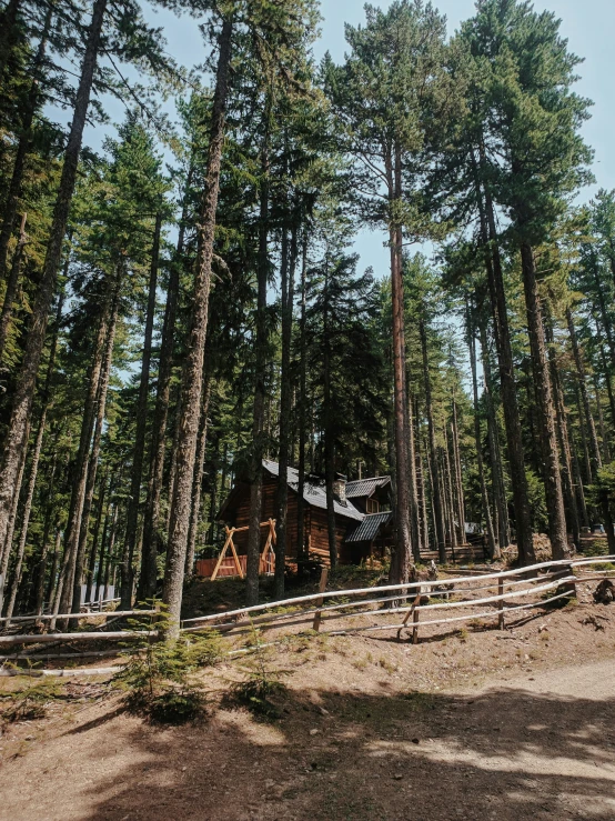 this wooden cabin is in the woods by the trees