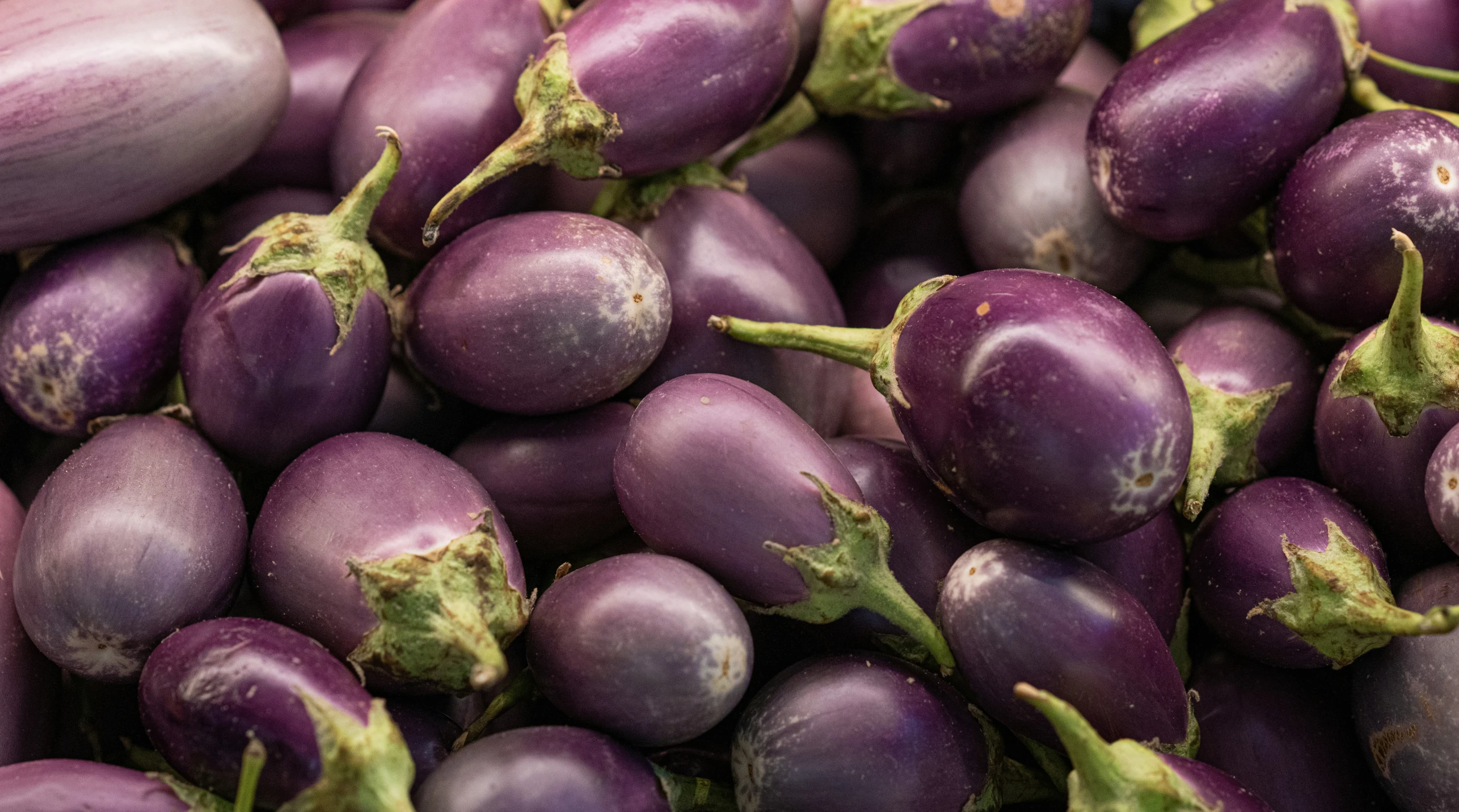 purple eggplant fruit piled up together in a pile