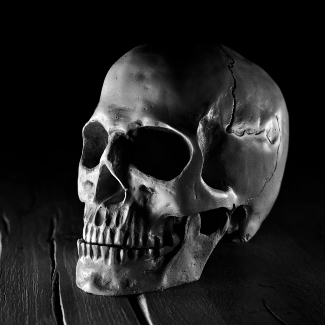 a skull is shown sitting on the table