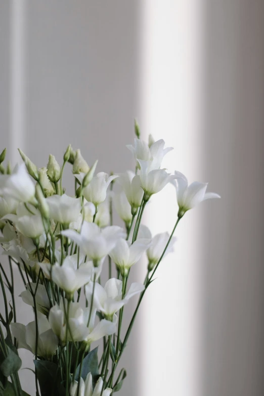 some flowers are in a green vase with white blooms