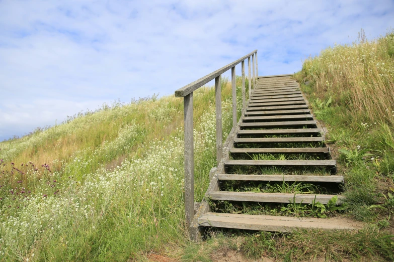 two metal hand rails leading down to the top of an overcast hill