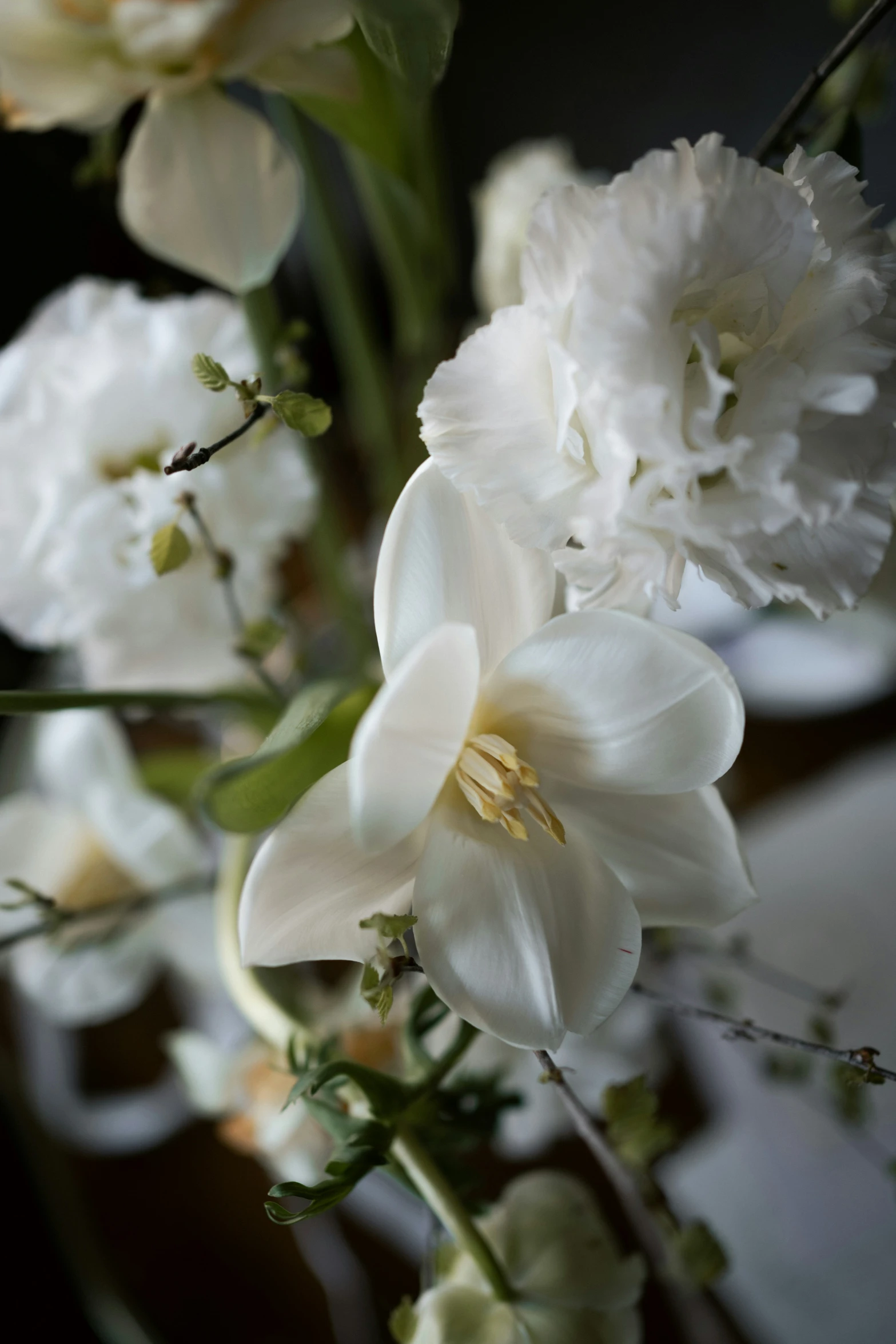 closeup of white flowers in a glass vase