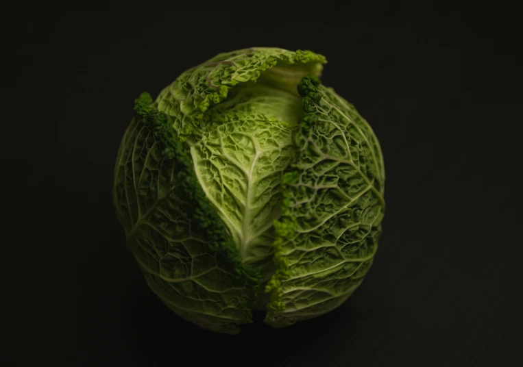 cabbage head on black with light coming in from top