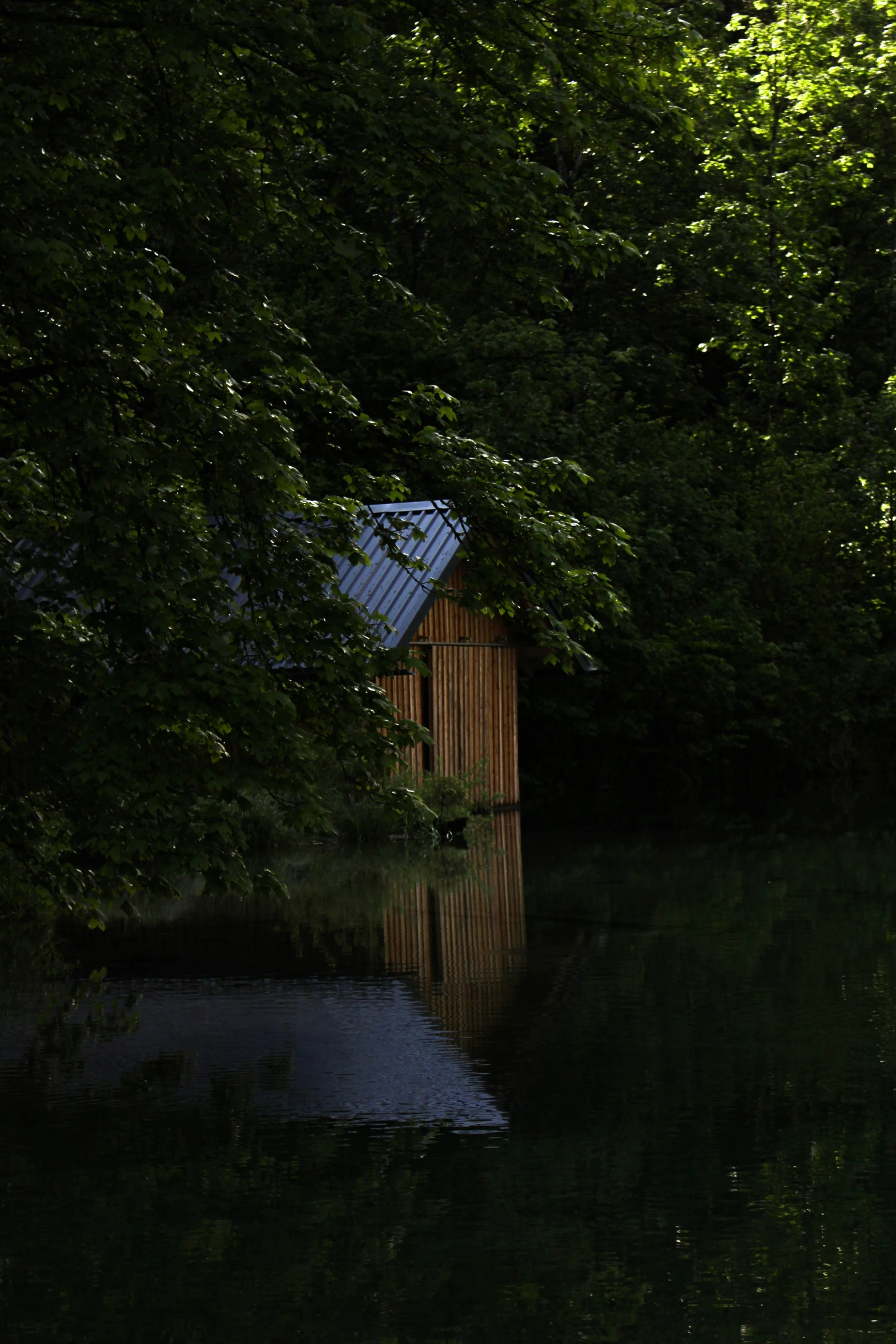 an outhouse sits in the forest with water