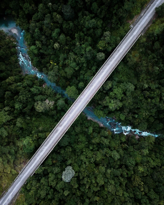 an aerial view of two roads in the middle of trees