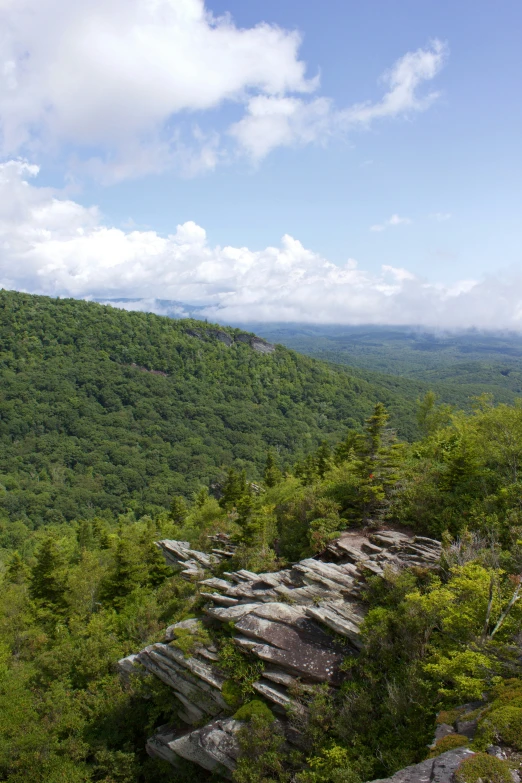 looking out over a wide green mountain range