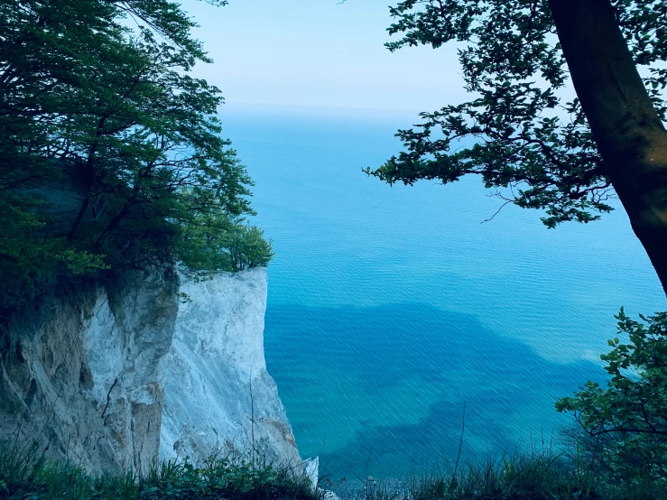 a view of trees and a cliff with the ocean in the background