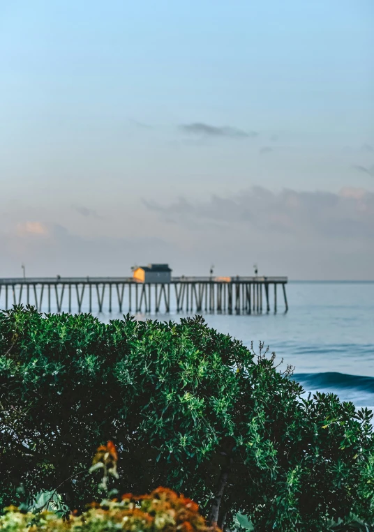 there is a long fishing dock at the end of the beach