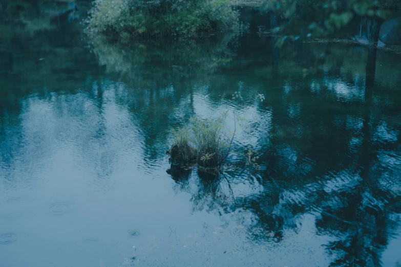 there are some trees reflection in the water