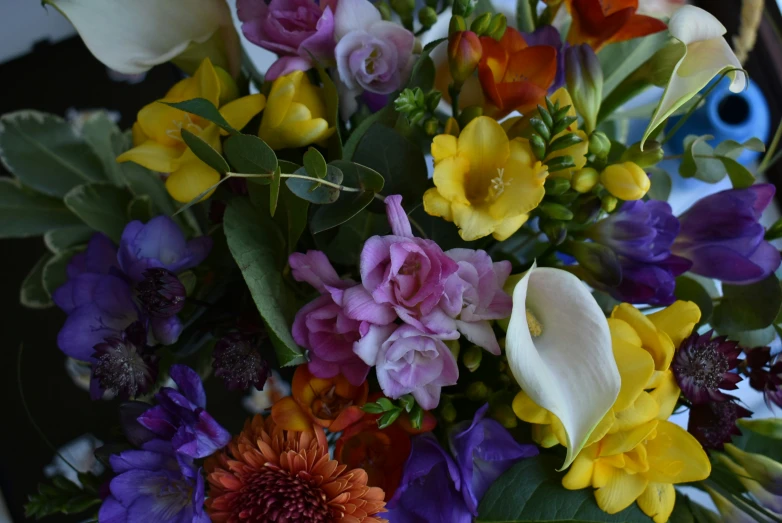 the flowers are colorful and displayed on the counter