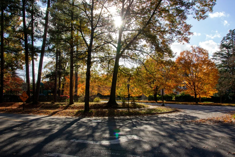 the sun shines through the trees on a paved road