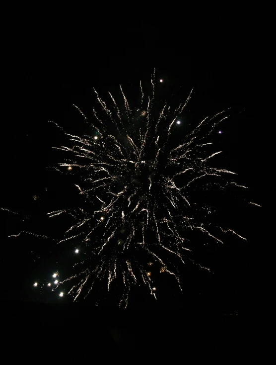 the large fireworks are lit up in the dark sky