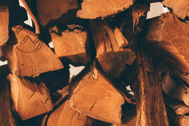 close up of a bunch of wood logs