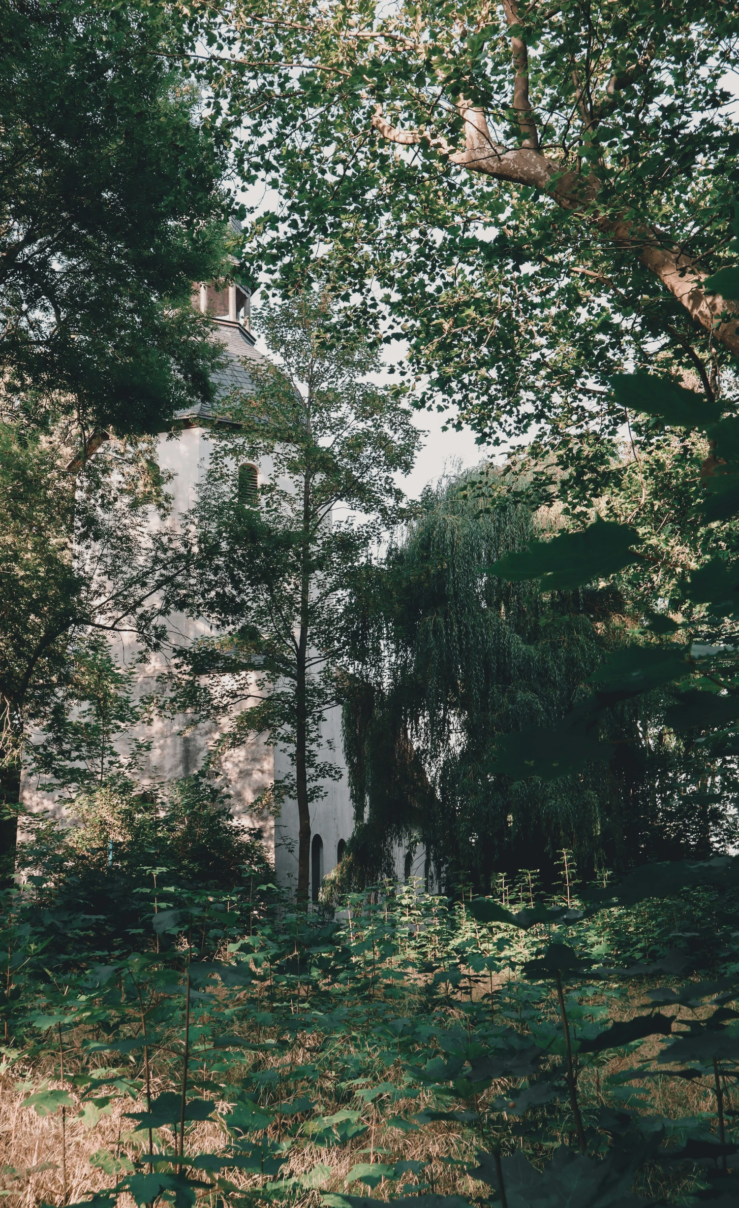 a building sitting among some trees and bushes