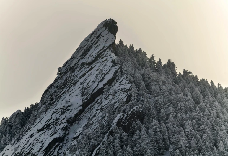 a tall mountain covered in snow with a forest below