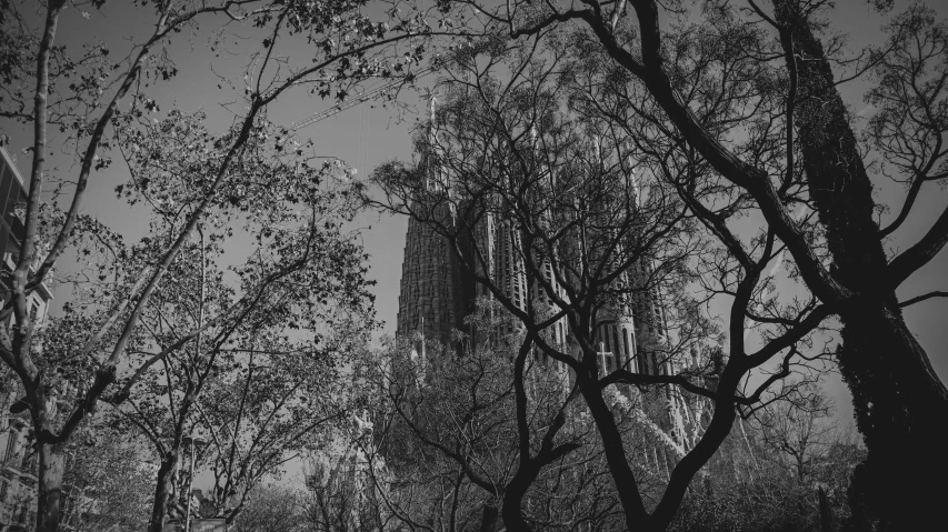 a tall building surrounded by trees in a forest