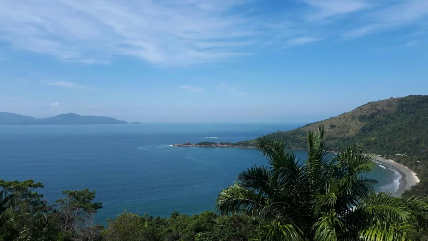 a beautiful ocean with tropical trees in the foreground