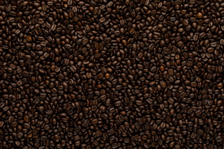 a picture of a close up image of coffee beans