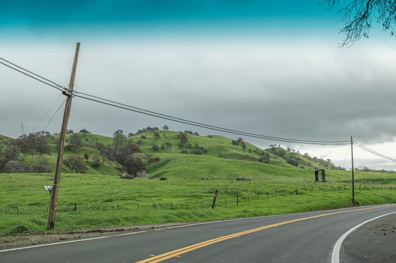 the road has grass on both sides and electric poles sticking out of the ground