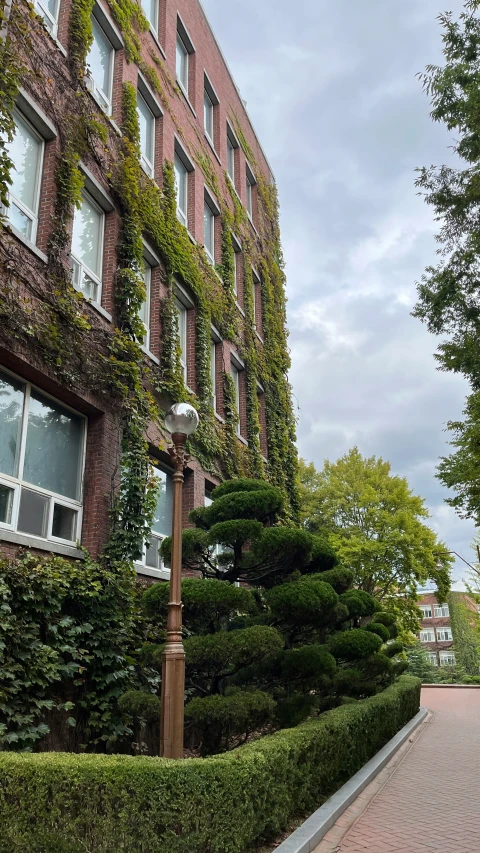 a lamp post in front of a tall building next to a sidewalk