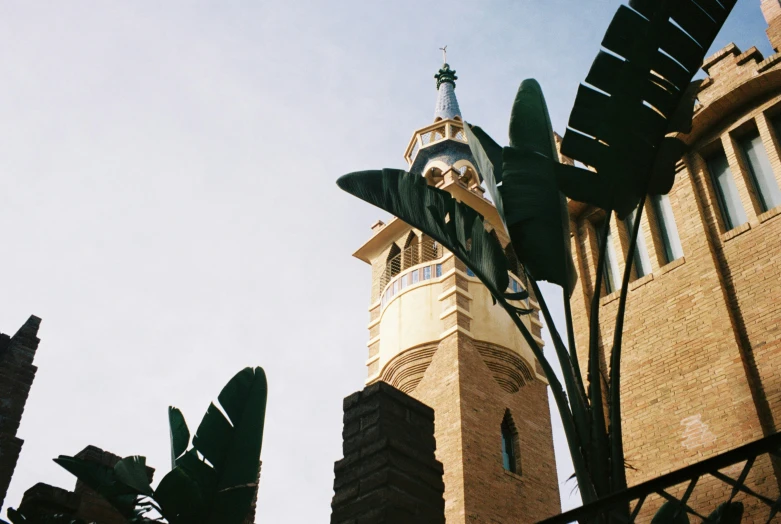 this is a very tall clock tower behind some trees