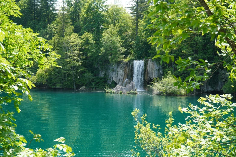 a body of water sitting below lush green trees