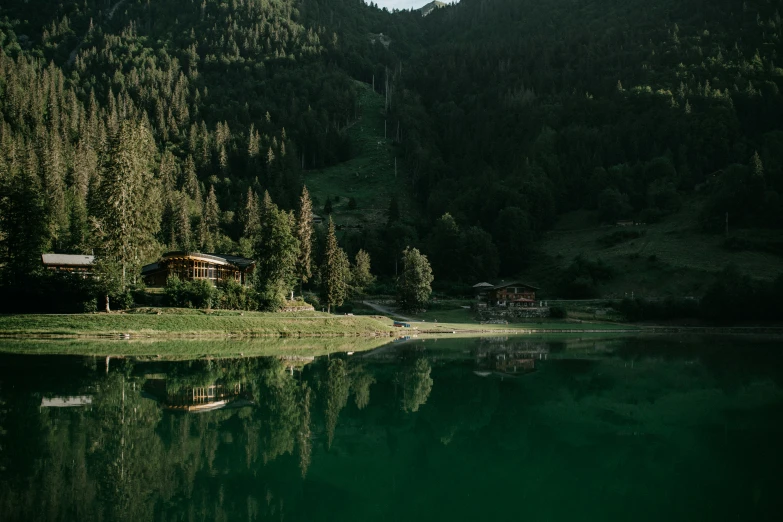 a lake with some green water and pine trees