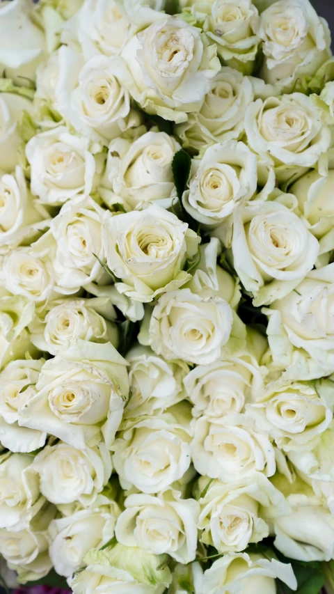 the flowers are white with green leaves and stems