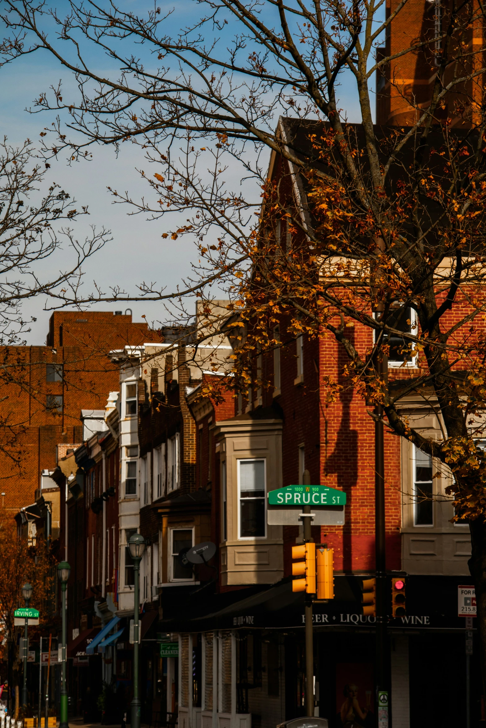 a view of a tree lined city street