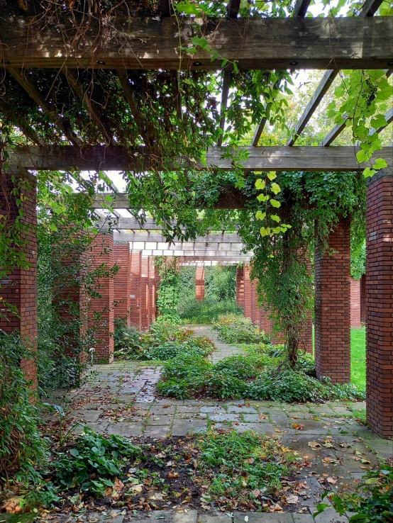 the view from inside a small pergoline near some bricks and plants