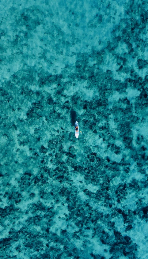 a white boat in the middle of blue water