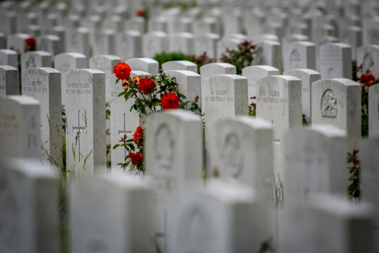 a bunch of tombstones with flowers in the middle