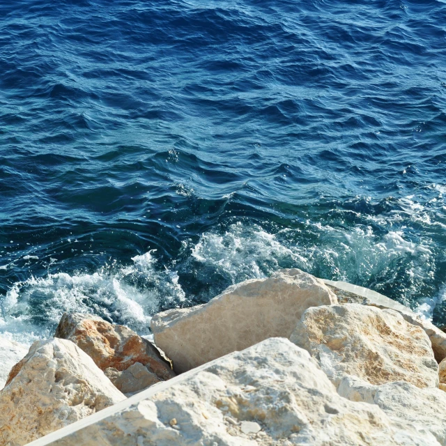 a white bird sitting on rocks at the edge of the water