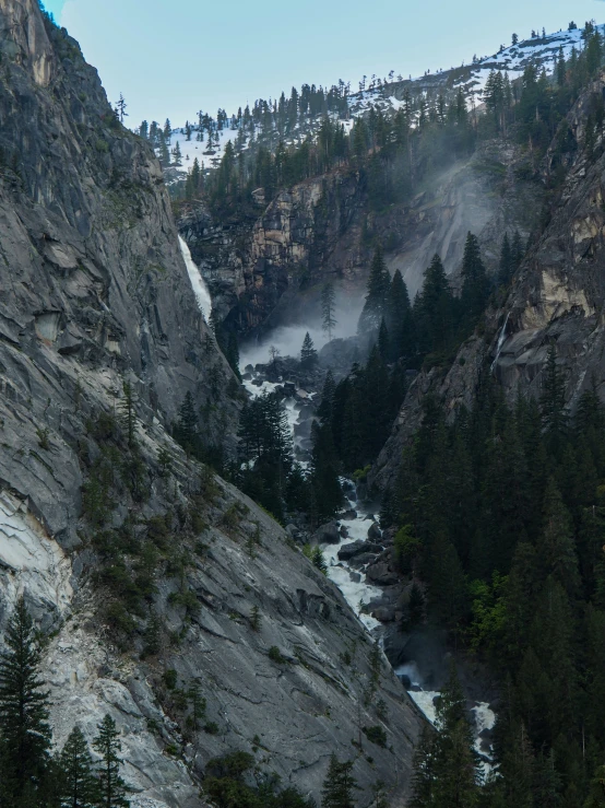 a mountain side with mist and trees on it