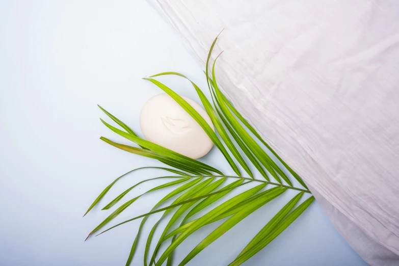 a white container containing soap and two palm leaves